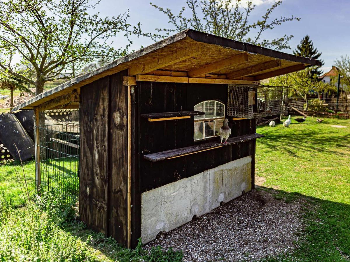 Zimmer auf historischem Bauernhof mit Hofglocke Dargen Exterior foto