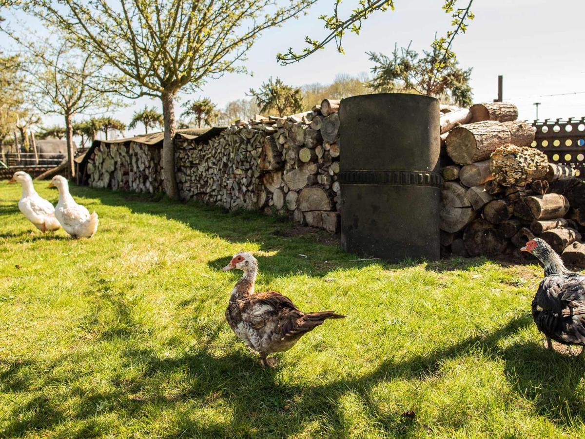 Zimmer auf historischem Bauernhof mit Hofglocke Dargen Exterior foto